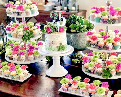 25th Anniversary Succulent Cupcake Dessert Table
